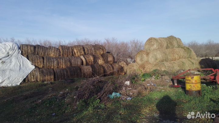 Люцерна в тюках