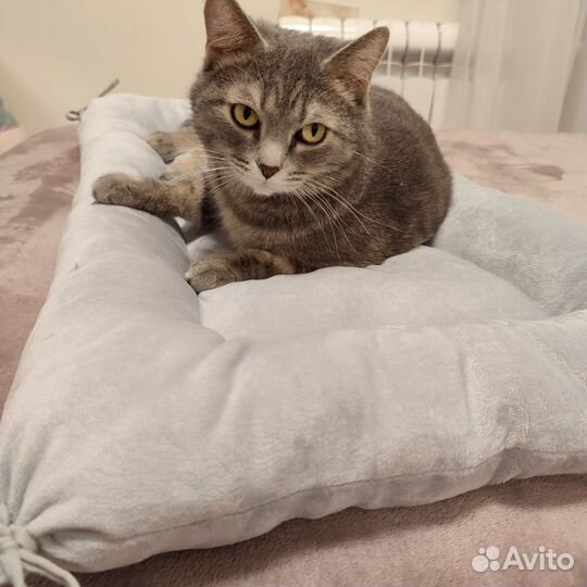 Лежанка для кошек новая