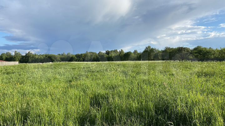 Участок 10 сот. (СНТ, ДНП)