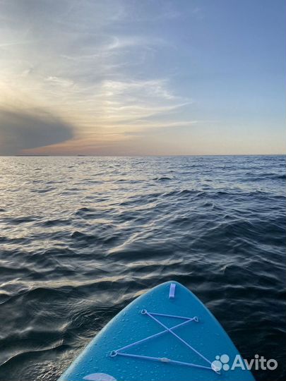 Прогулки на сапах Зеленоградск, Янтарный