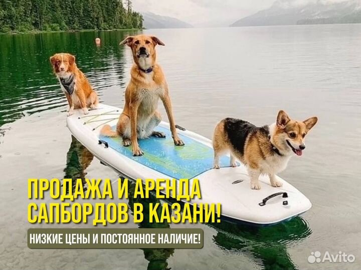 Аренда сап борда(sup board)