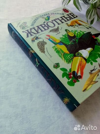 Детская энциклопедия животные