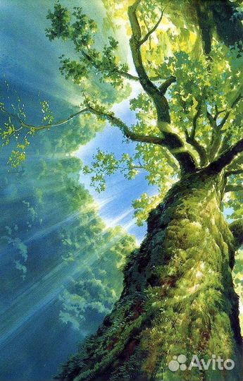 Репетитор по рисованию для детей и взрослых