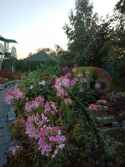 Коттедж 104 м² на участке 11 сот.