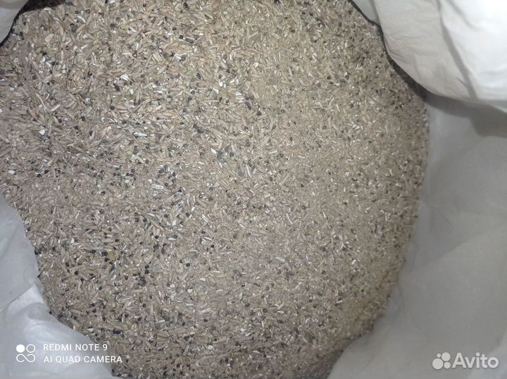 Рожь отсев зерноотход