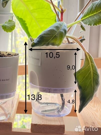 Горшок с автополивом М 10,5