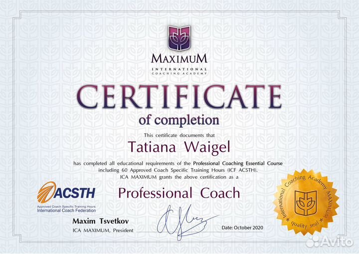 Бизнес коуч ICF, Карьерный коуч ICF