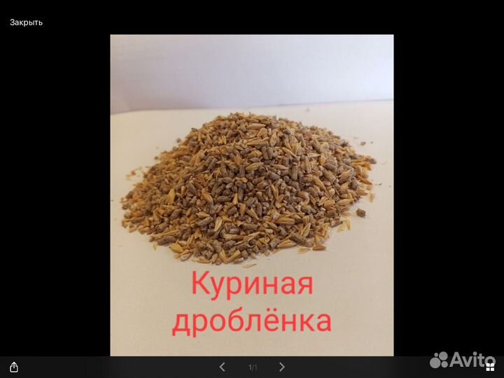 Бройлеры, корм для бройлеров