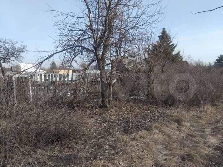 Участок 8 сот. (СНТ, ДНП)