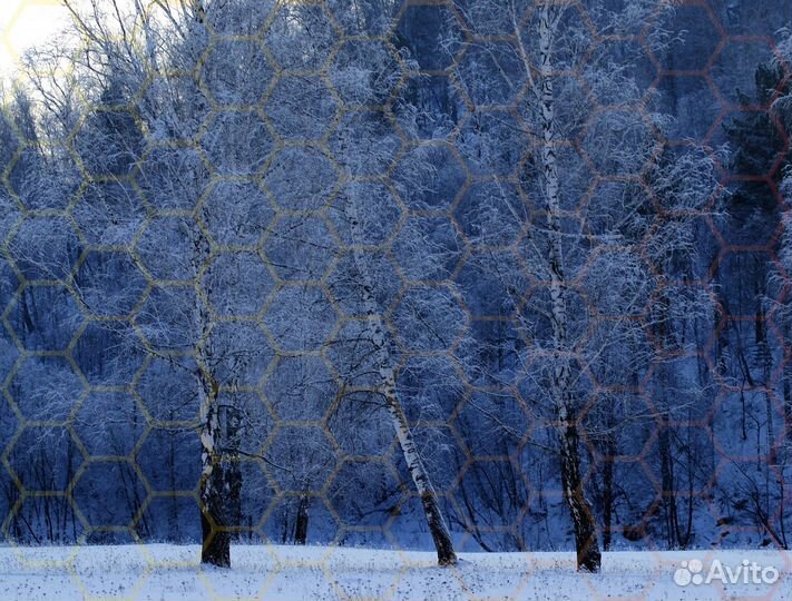 Фотографии. Отрада для глаз)