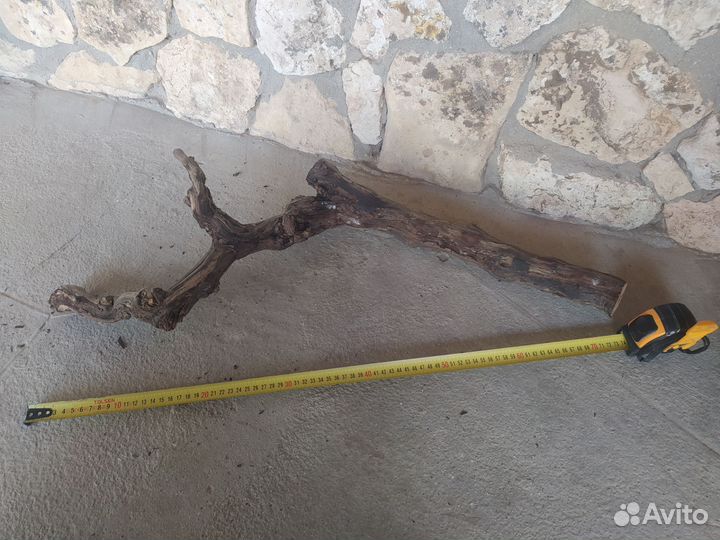 Виноградная лоза коряга