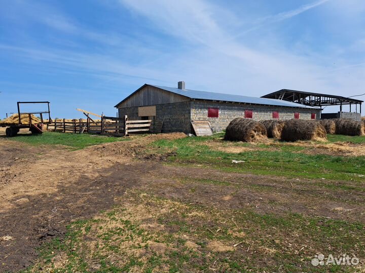 Участок 100га, Ферма, Жилье, Дом