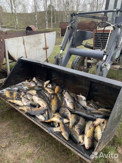 Рыбалка и отдых