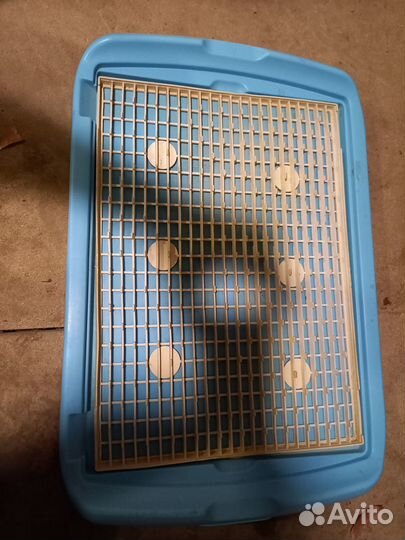 Лоток туалет для кошек и собак