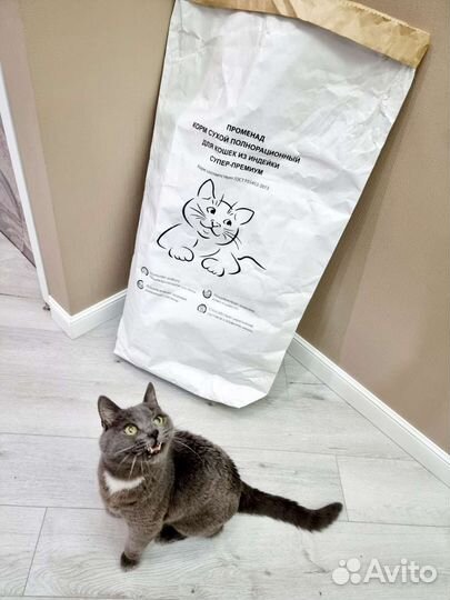 Сухой корм Променад супер-премиум для кошек