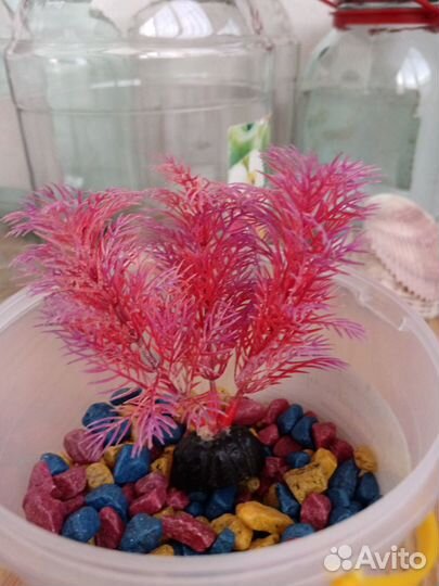 Домик для аквариума, водоросли и камни