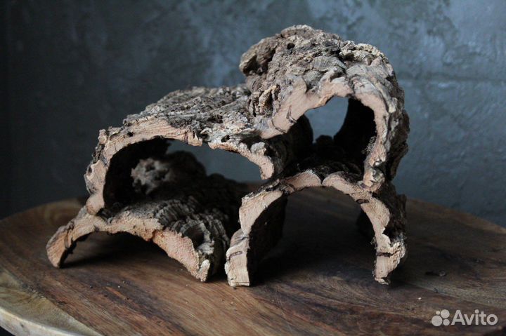 Готовый набор для эублефара