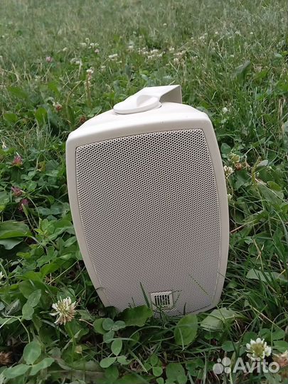 Динамик настенный AMC iPlay 4WT