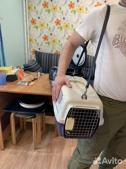 Прокат переноски для кошек и собак мелких пород.а