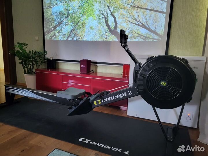 Гребной тренажер concept 2 (прокат/аренда/продажа)