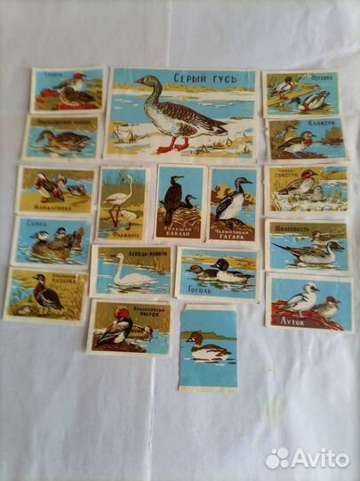 Спичечные этикетки СССР