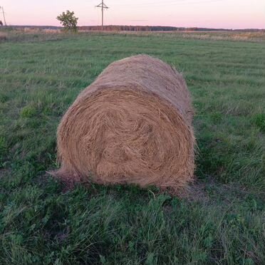 Продам сено в рулонах новый урожай