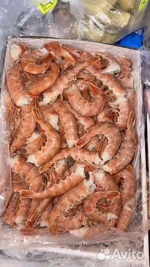 Лангустины l1