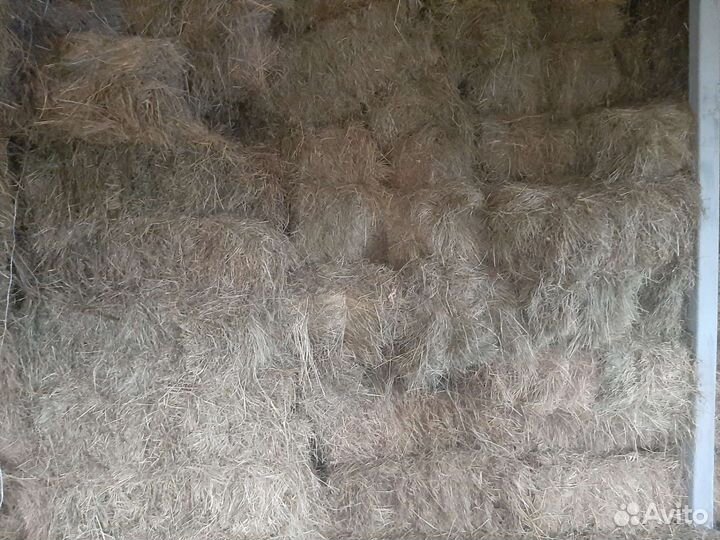 Сено луговое в тюках