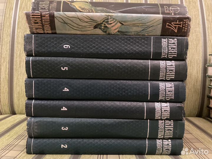 Книги по биологии Книги о комнатных растениях