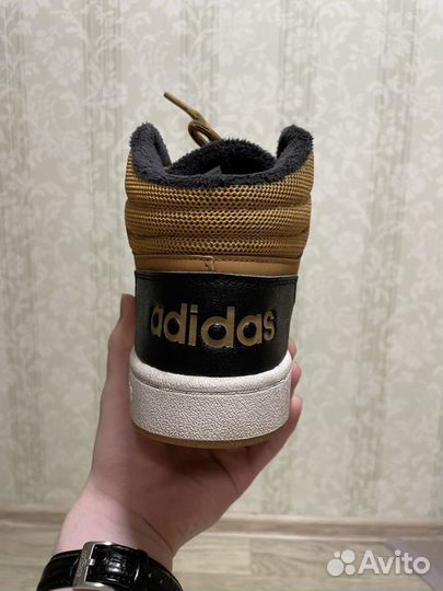 Кеды adidas