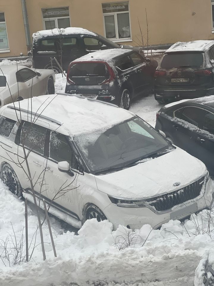 Kia Carnival: фото владельца