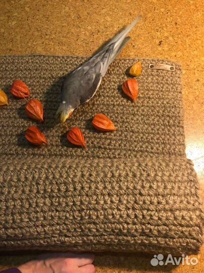 Ковровые дорожки на заказ, коврики