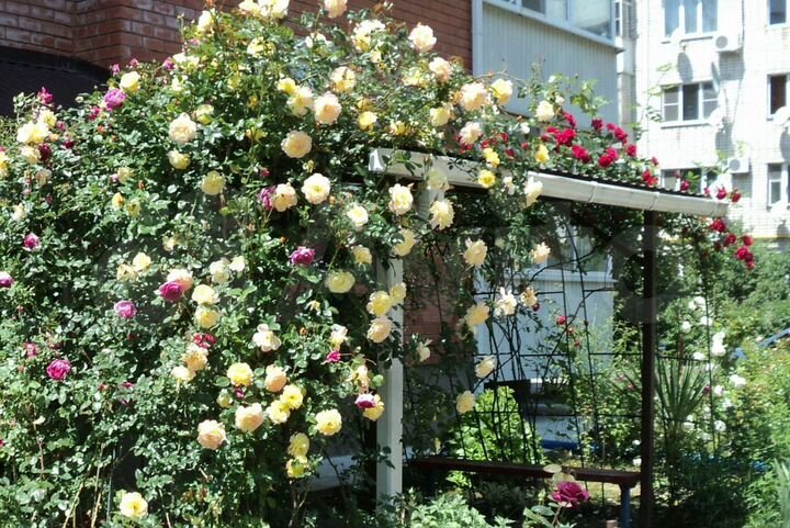 1-к. квартира, 56 м², 6/6 эт.