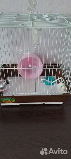 Клетка для джунгарского хомяка
