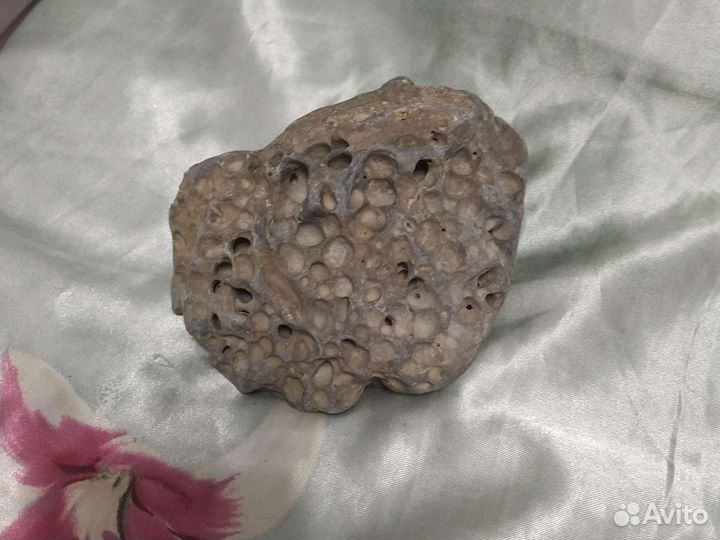 Метеоритный камень