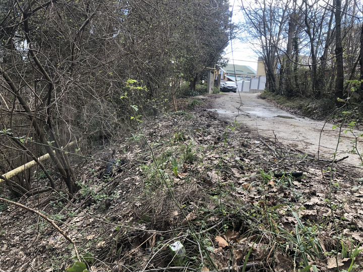 Участок 6 сот. (СНТ, ДНП)