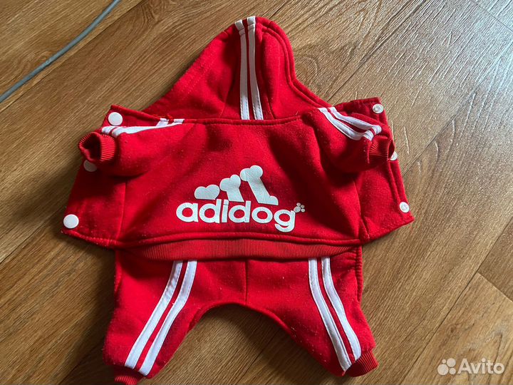 Одежда для мини йорка