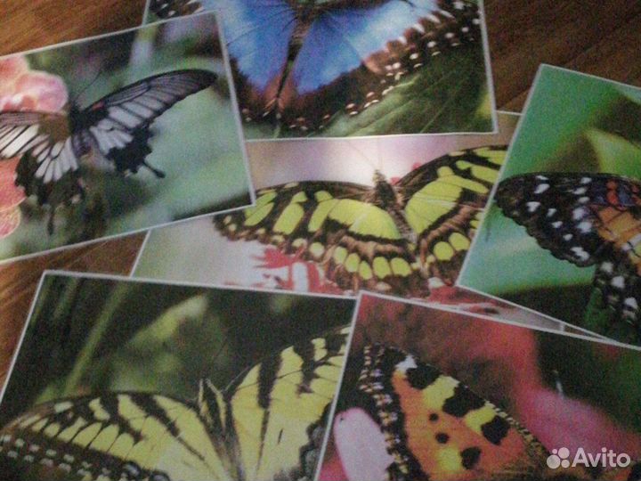 Картинки ламинированняе