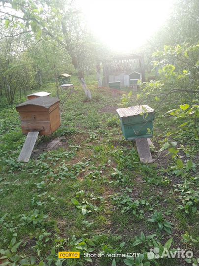 Улей для пчел