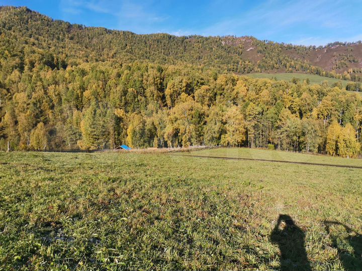 Участок 4,5 га (СНТ, ДНП)