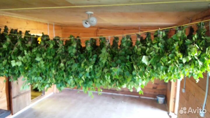 Продам Березовые веники