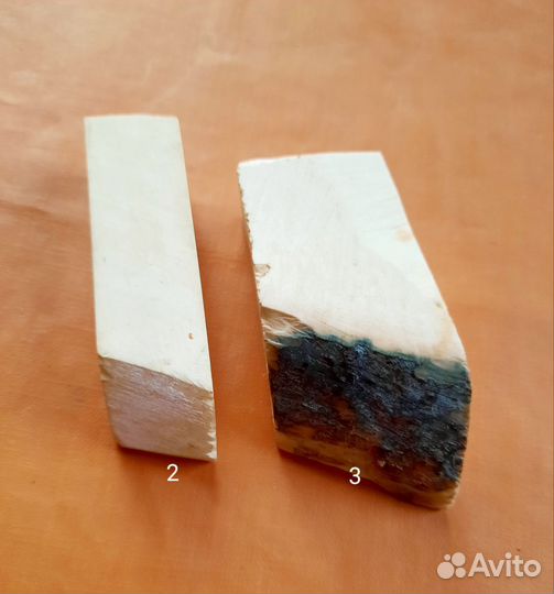 Бивень мамонта - заготовки