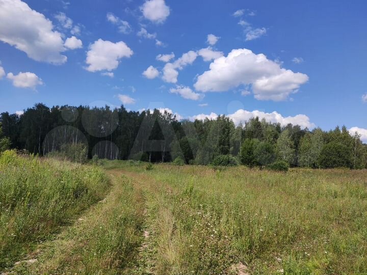 Участок 64,1 сот. (СНТ, ДНП)