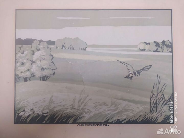 Линогравюры коллекция СССР. редкость