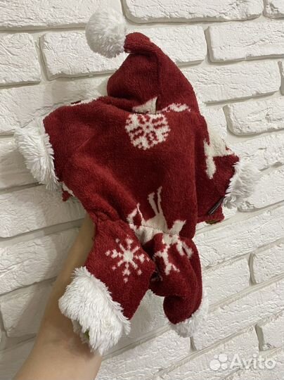 Костюмчик для той терьера