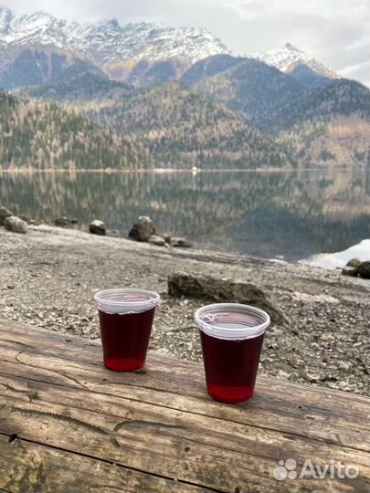 VIP-тур в Абхазию мини-группа