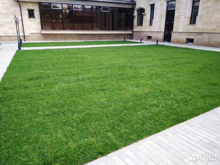 Укладка рулонного газона