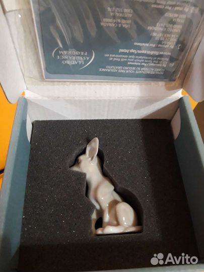 Фарфор Lladro. Чихуахуа