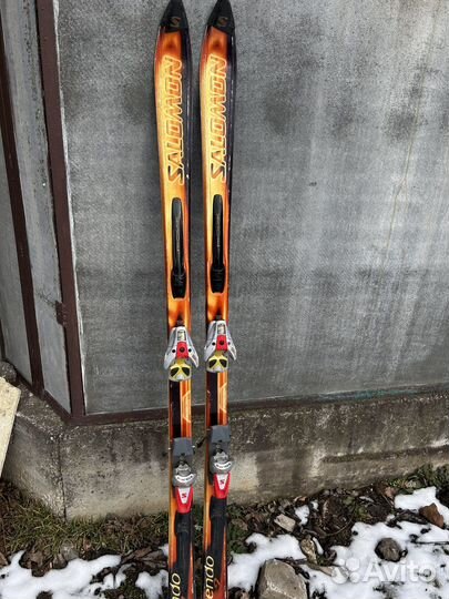 Горные лыжи