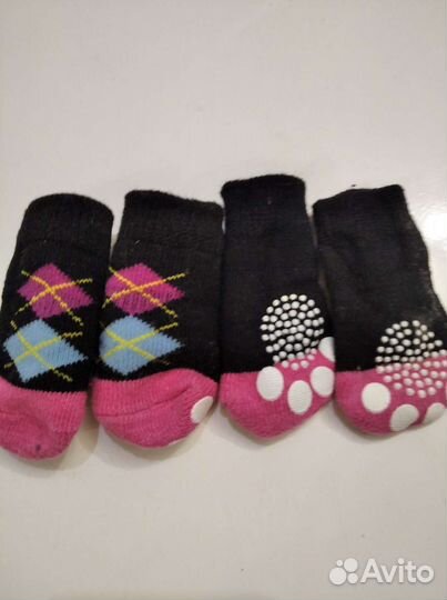 Одежда для маленьких собак